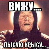 вижу.... лысую крысу...