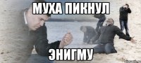 муха пикнул энигму