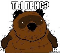 ты прнс? 