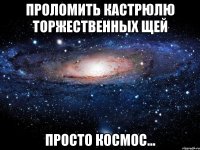 проломить кастрюлю торжественных щей просто космос...