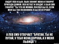 сидят лев и бык. льву звонит жена и говорит приходи домой. лев встает и уходит. а бык ему говорит "ты что не мужик, послал бы ее, если моя бы так позвонила я бы ей устроил", а лев ему отвечает "братан, ты не путай, у тебя жена корова, а у меня львица" !