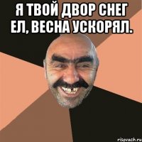 я твой двор снег ел, весна ускорял. 