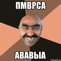 пмврса ававыа