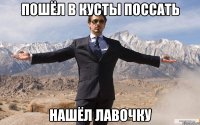 пошёл в кусты поссать нашёл лавочку