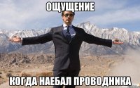 ощущение когда наебал проводника