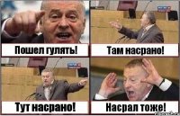 Пошел гулять! Там насрано! Тут насрано! Насрал тоже!