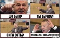 ШО БЫК? ТЫ БЫЧКА? СИГА ЕСТЬ? ПОЛЯНА ТЫ ЗАЕБАЛ!!!