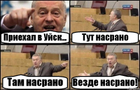 Приехал в Уйск... Тут насрано Там насрано Везде насрано!