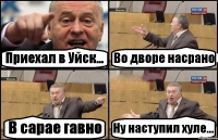 Приехал в Уйск... Во дворе насрано В сарае гавно Ну наступил хуле...