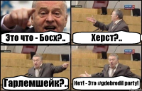 Это что - Босх?.. Херст?.. Гарлемшейк?.. Нет! - Это #gdebrodil party!