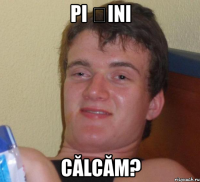 pi șini călcăm?