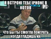 я встрою тебе iphone в котов что бы ты смогла поиграть когда гладишь их