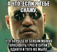 а что, если я тебе скажу, что за pulse of scream можно голосовать 1 раз в сутки с одного и того же мыла