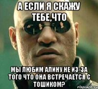 а если я скажу тебе,что мы любим алину не из-за того что она встречается с тошиком?