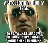 а что, если я скажу тебе, что в s.t.a.l.k.e.r shadow of chernobyl, 2 правильные концовки и 4 ложных?