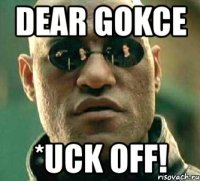 dear gokce *uck off!