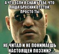 а что если я скажу тебе, что паша броский отстой, просто ты не читал и не понимаешь настоящей поэзии?