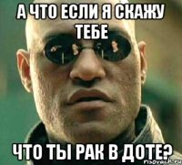 а что если я скажу тебе что ты рак в доте?