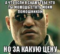 а что если я скажу тебе что ты можешь стать моим помошником но за какую цену