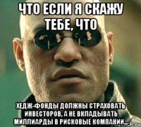 что если я скажу тебе, что хедж-фонды должны страховать инвесторов, а не вкладывать миллиарды в рисковые компании...