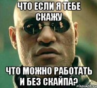 что если я тебе скажу что можно работать и без скайпа?