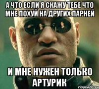 а что если я скажу тебе что мне похуй на других парней и мне нужен только артурик