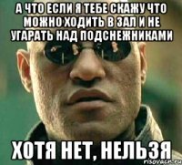 а что если я тебе скажу что можно ходить в зал и не угарать над подснежниками хотя нет, нельзя