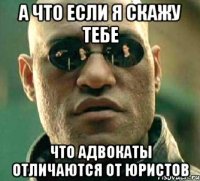 а что если я скажу тебе что адвокаты отличаются от юристов