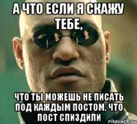 а что если я скажу тебе, что ты можешь не писать под каждым постом, что пост спиздили