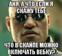 аня, а что если я скажу тебе что в скайпе можно включать вебку?