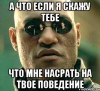 а что если я скажу тебе что мне насрать на твое поведение