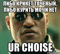 либо крикет точеный, либо курить мочи нет ur choise