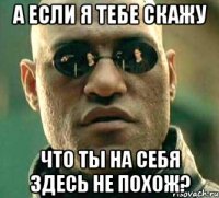 а если я тебе скажу что ты на себя здесь не похож?