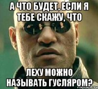 а что будет, если я тебе скажу, что леху можно называть гусляром?