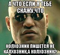 а что если я тебе скажу,что колхозник пишется не калхозник,а колхозник?