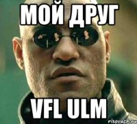 мой друг vfl ulm