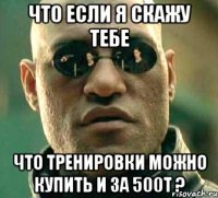 что если я скажу тебе что тренировки можно купить и за 500т ?