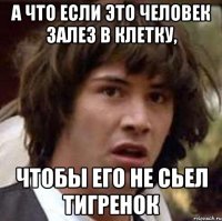 а что если это человек залез в клетку, чтобы его не сьел тигренок