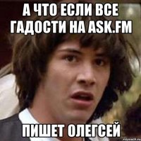 а что если все гадости на ask.fm пишет олегсей