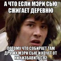 а что если мэри сью сжигает деревню потому что собирает там других мэри сью и хочет от них избавиться?