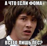 а что если фома всего лишь пёс?