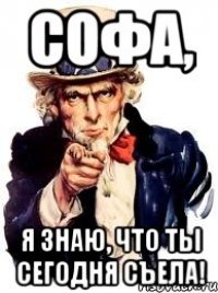 софа, я знаю, что ты сегодня съела!