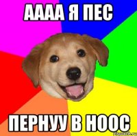 аааа я пес пернуу в ноос