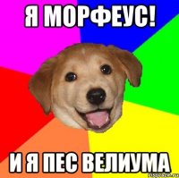 я морфеус! и я пес велиума