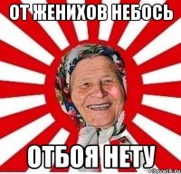 от женихов небось отбоя нету