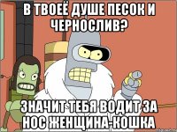 в твоеё душе песок и чернослив? значит тебя водит за нос женщина-кошка