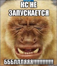 кс не запускается бббллляяя!!!