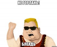 не горлань! блеадь