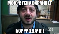 мою стену охраняет боррродач!!!