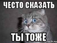 често сказать ты тоже